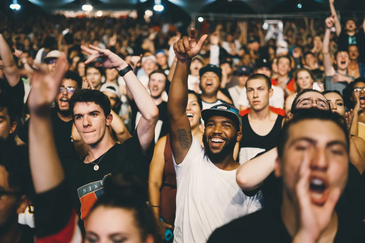 Group of people at a concert