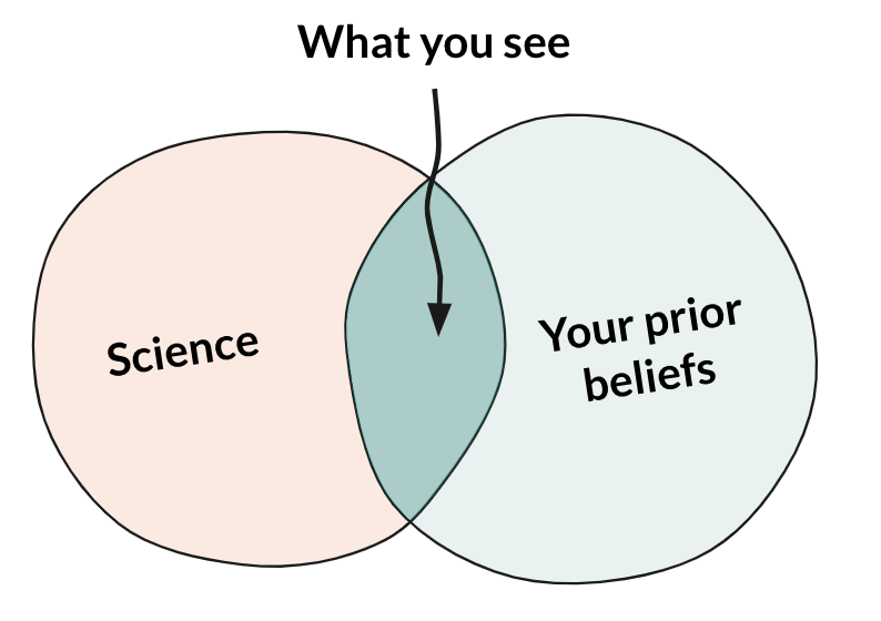 Handling confirmation bias in a live setting - Mentimeter