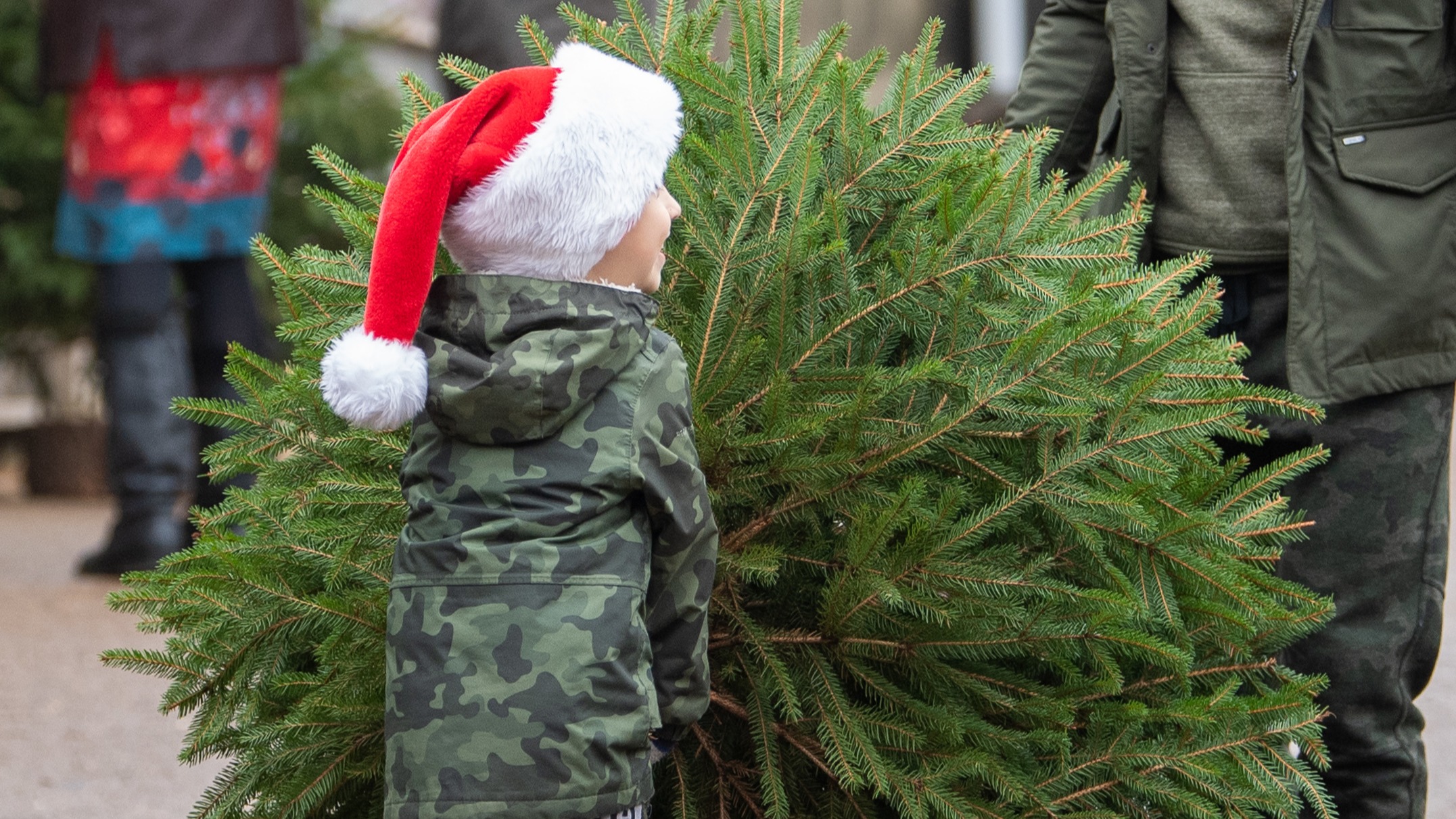 Could there be a national Christmas tree shortage this year? This Morning