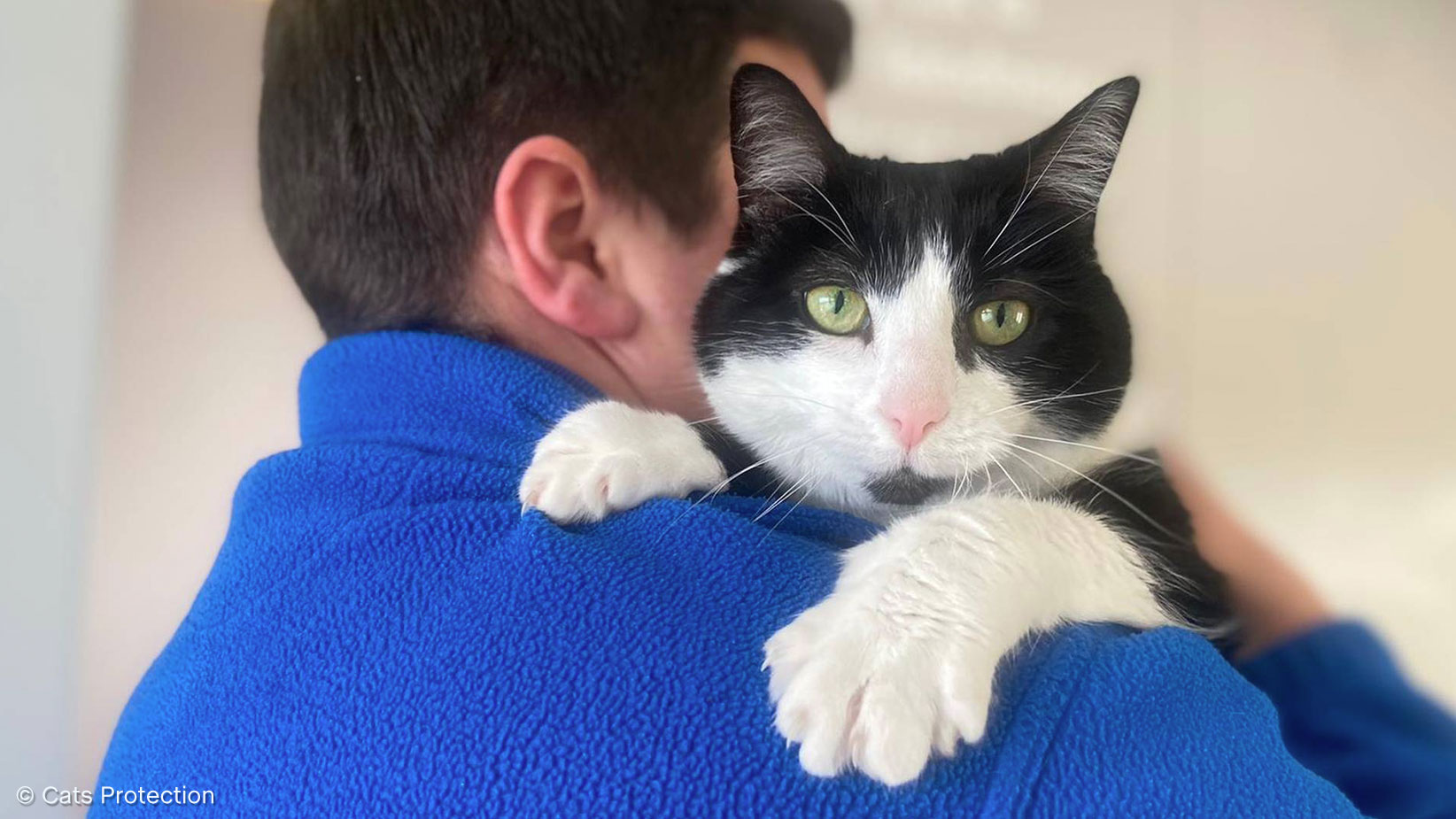 Could 12yearold Seren be Britain’s ‘most unloved cat’? This Morning