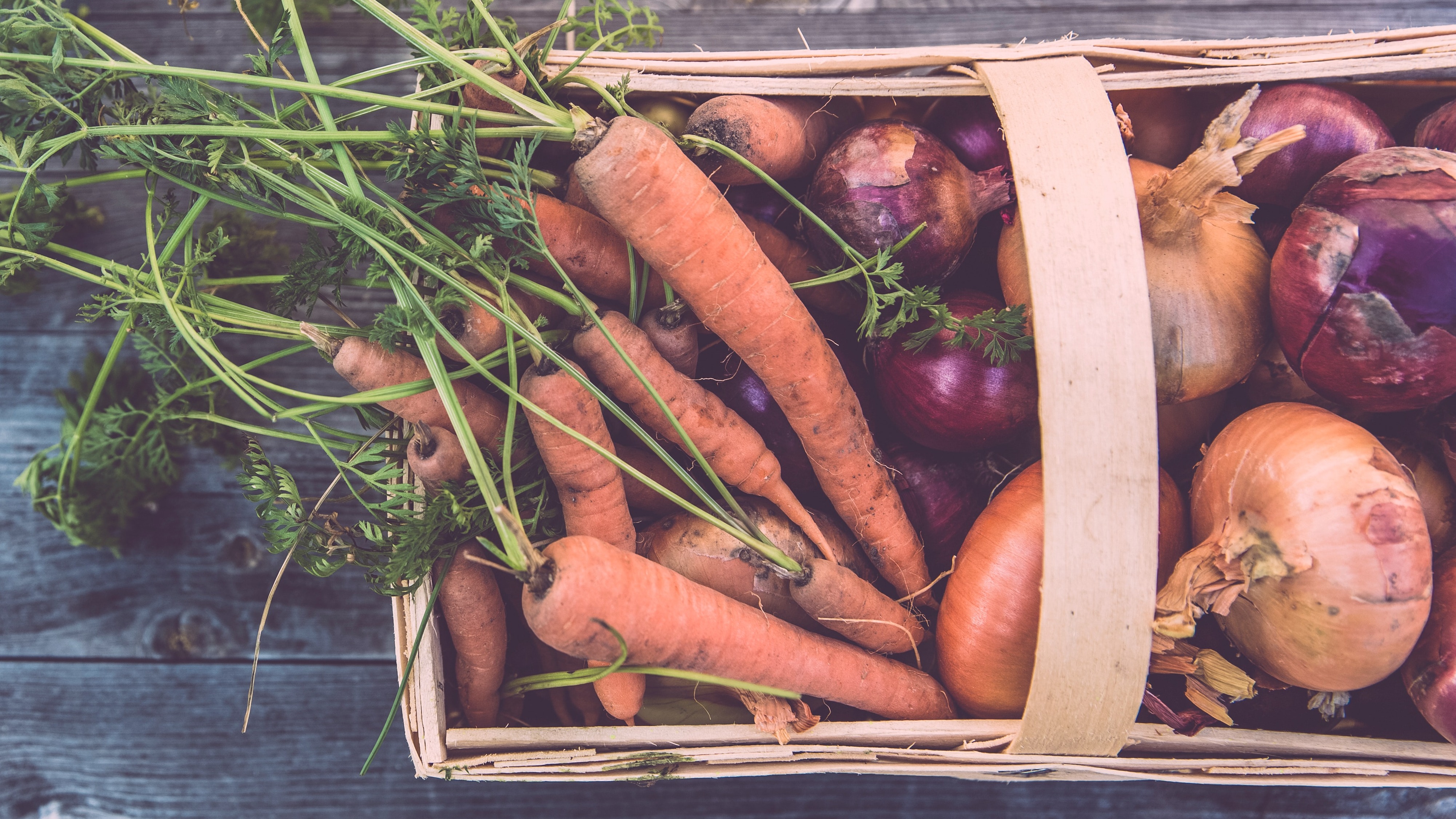 Vegetable Patch Synonym