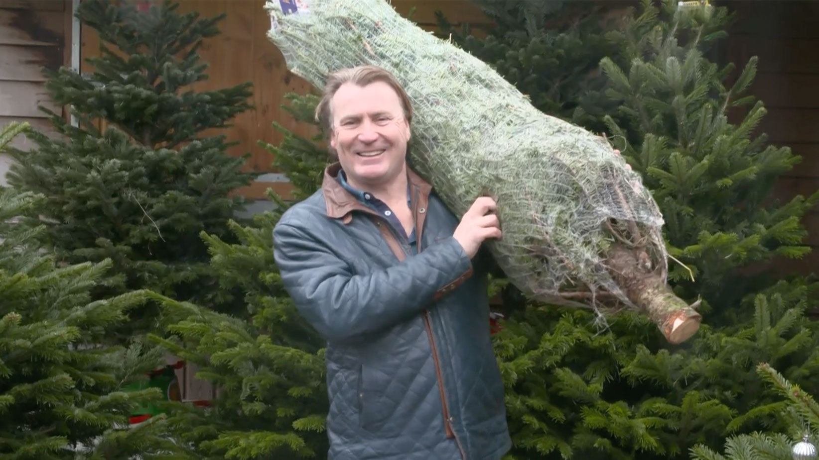 The best care for your Christmas tree to keep it alive for longer