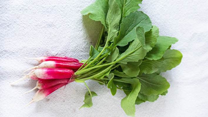 Radishes. Unsplash image.