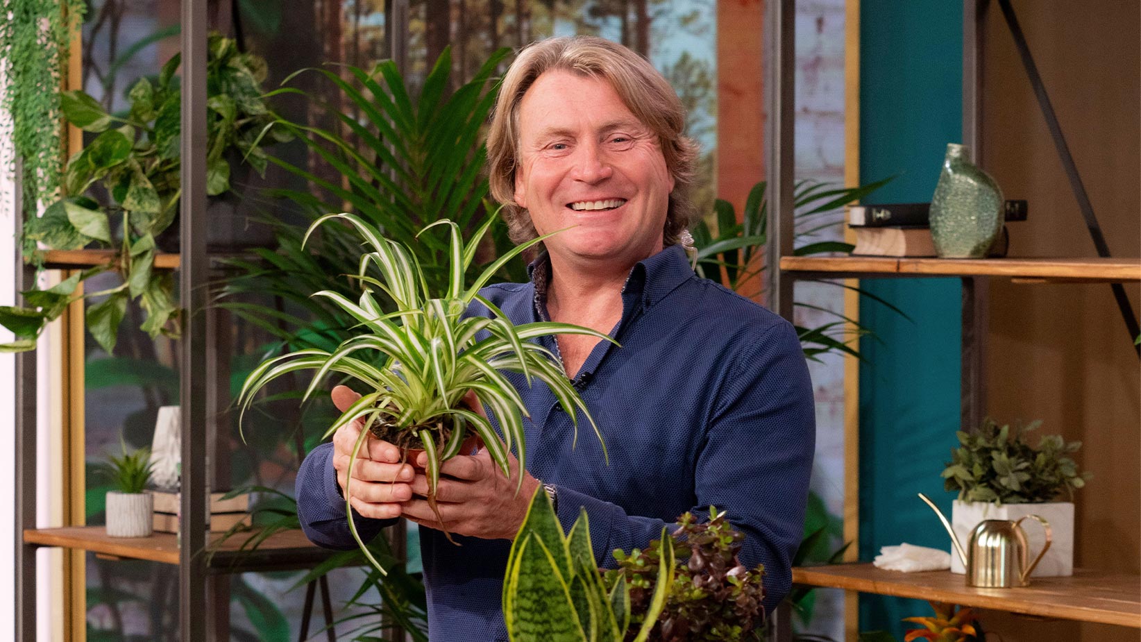 How to holidayproof your house plants This Morning