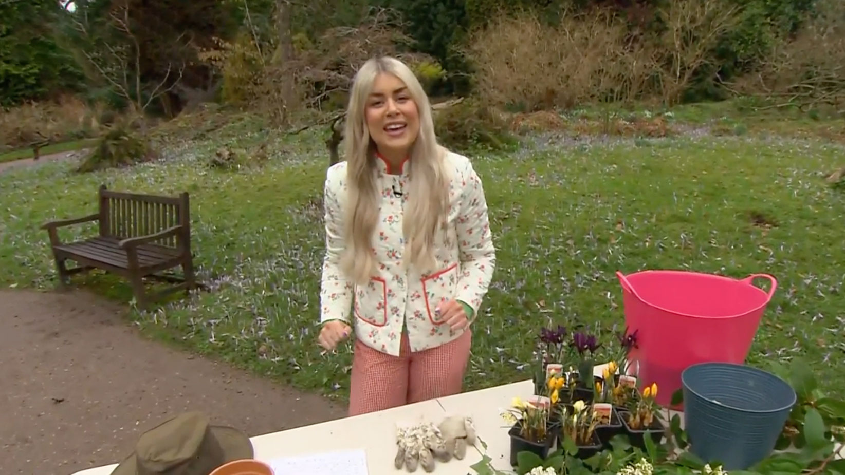 Is this the flower of 2023? Daisy Payne has the answer! This Morning