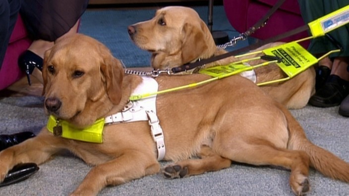 Puppy love | This Morning