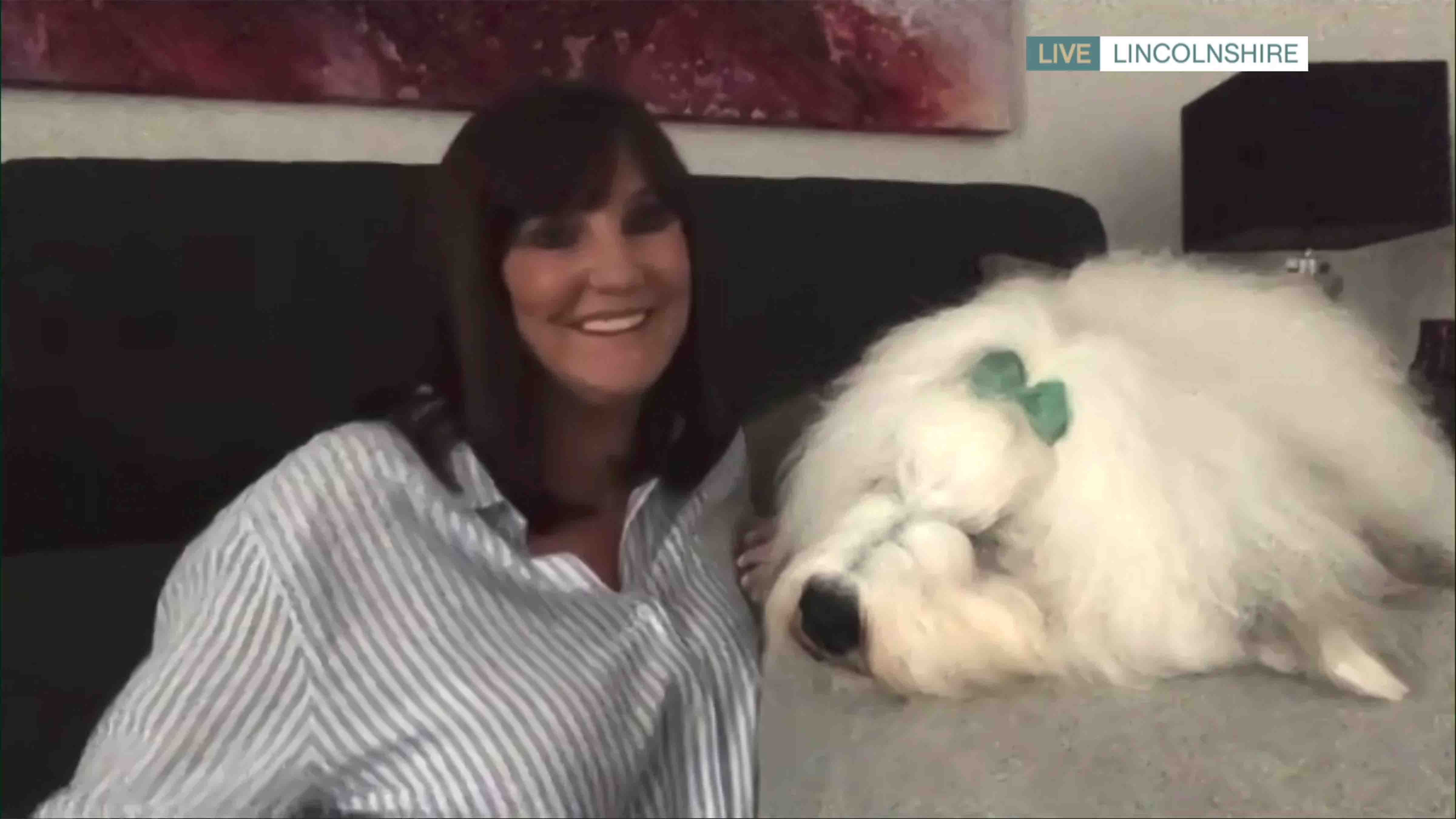 Save the Dulux dog! | This Morning