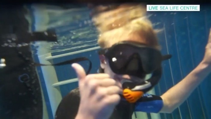 I was attacked by a shark, but I still want to be a marine biologist ...