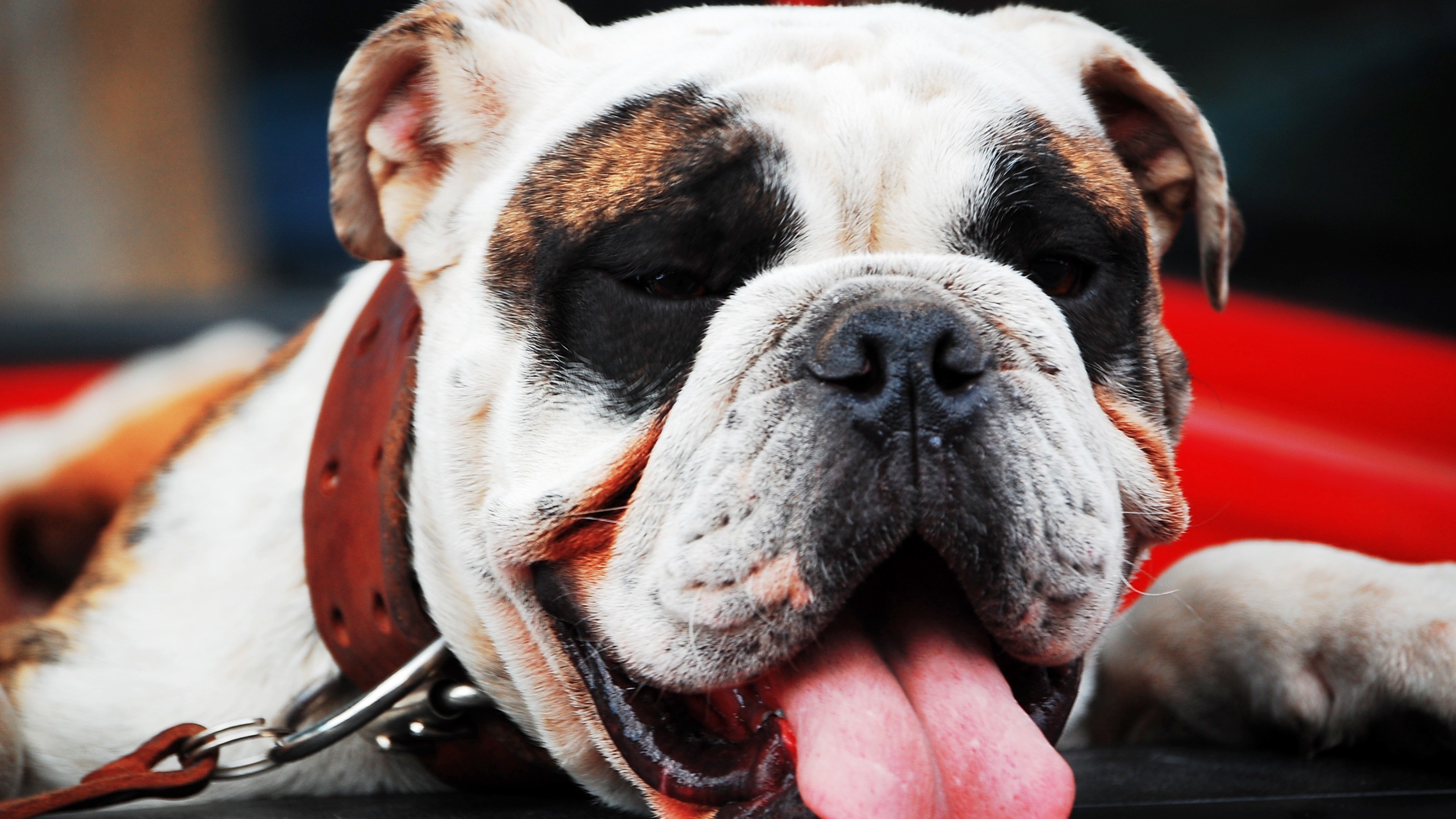 Get involved with today's show | This Morning