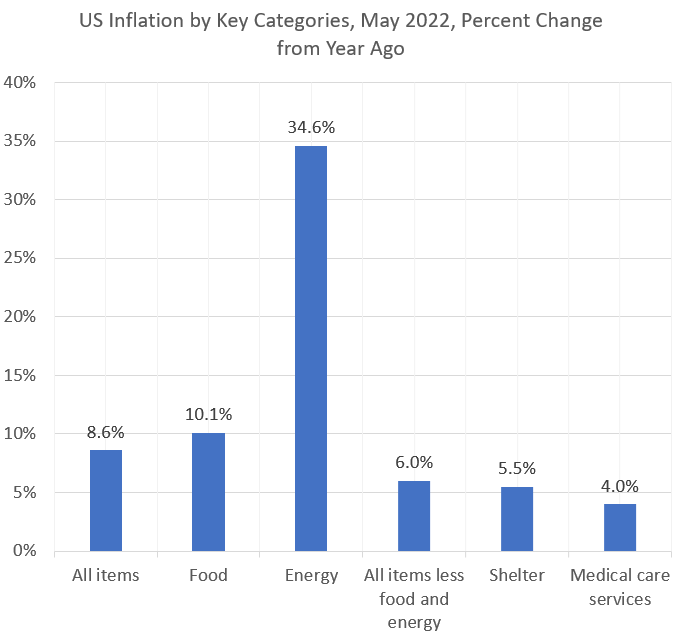 Figure 1: US Inflation by Key Categories, May 2022, Percent Change from Year Ago