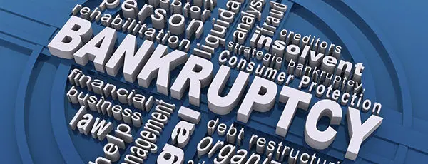 Understanding Bankruptcy and Debt