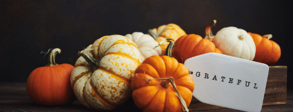 Our Thanksgiving Savings Tips and What’s Different This Year (Everything!)