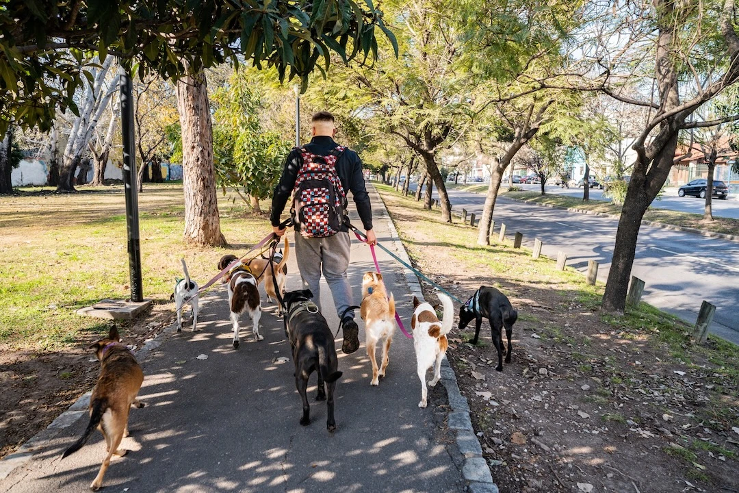 Want to Get Out of Debt? Focus on This Number First