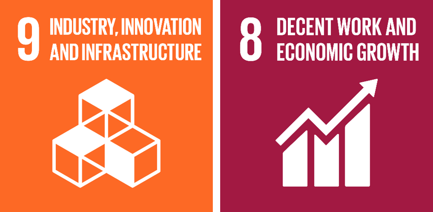 SDG 8 and 9