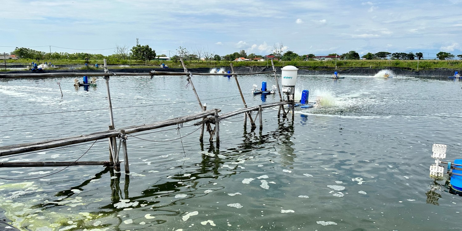 ResponsAbility Invests USD 40 Million In EFishery | ResponsAbility