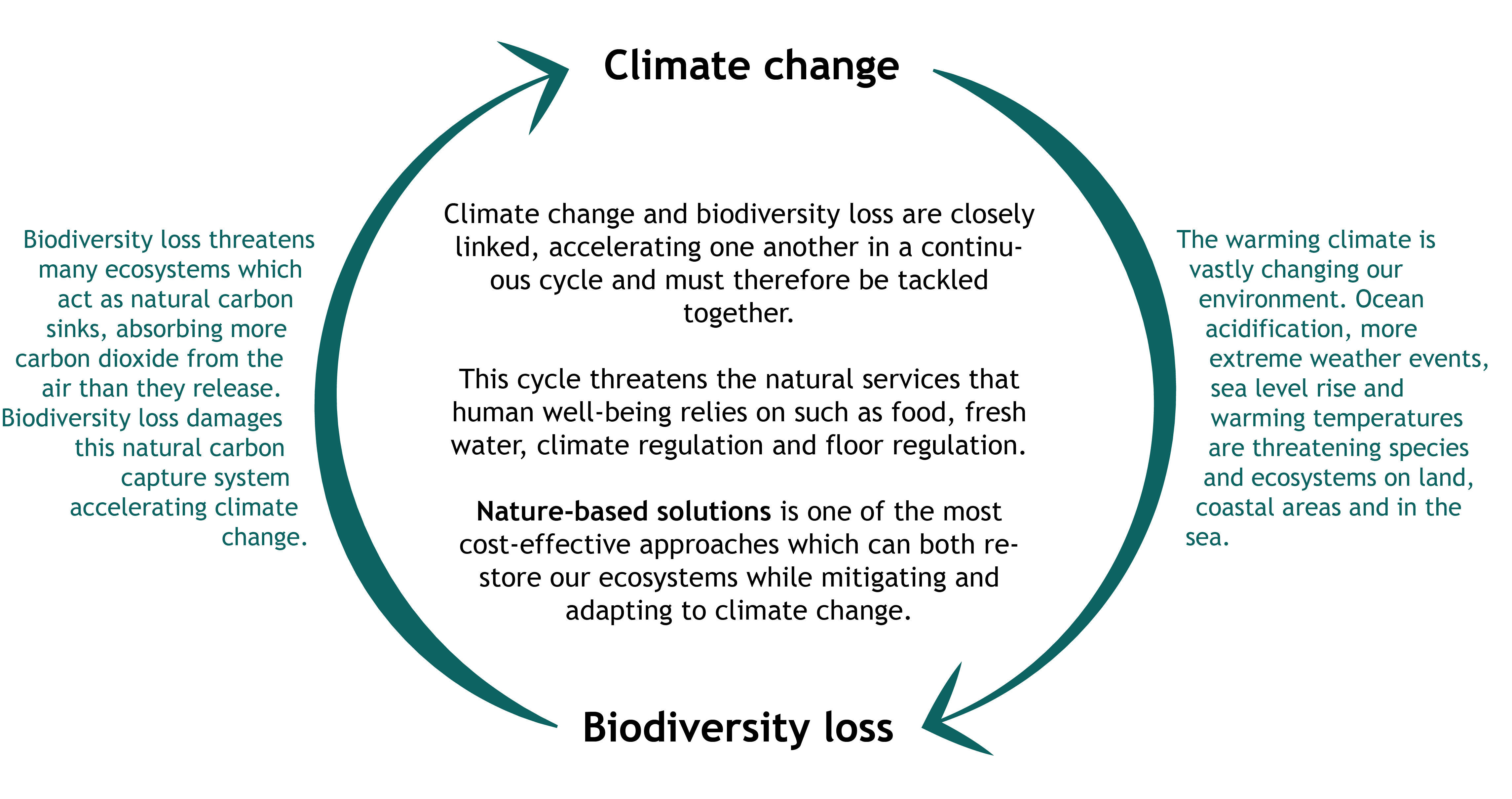 Regenerative Agriculture As A Nature Based Solution For Decarbonizing ...