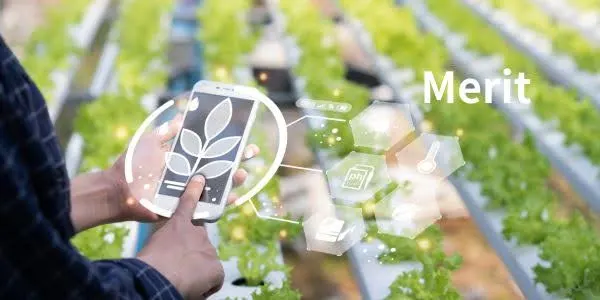 農業にAIを導入するメリット5選