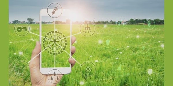 農業AI（スマート農業）とは？企業が注目する理由