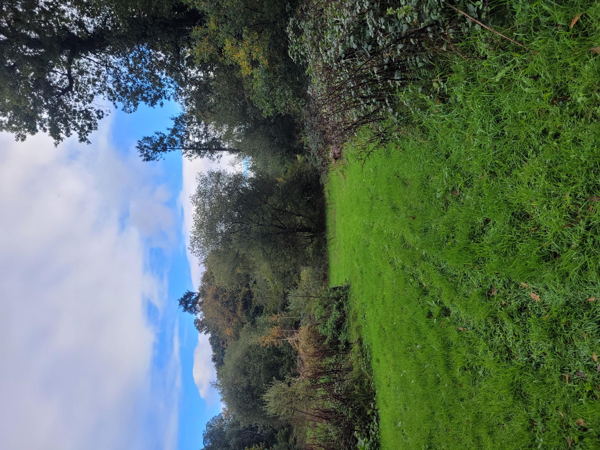 Photo showing the Poltimore House grounds