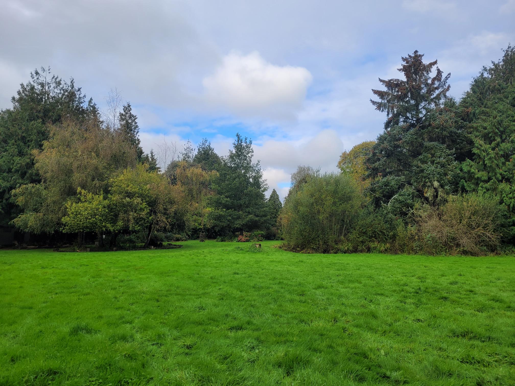 Photo showing the Poltimore House grounds