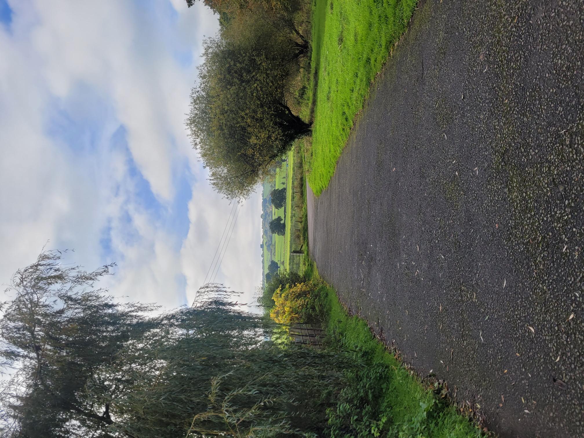 Photo showing the Poltimore House grounds