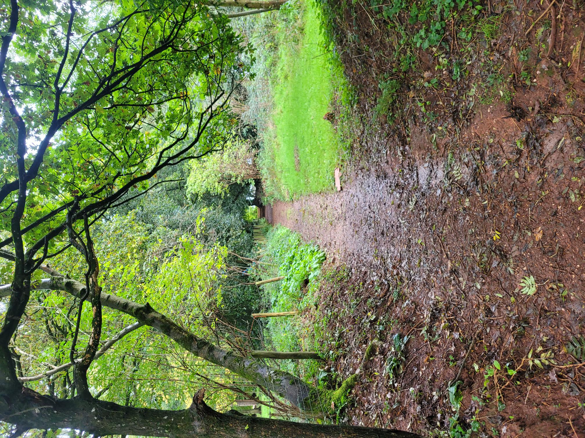 Photo showing the Poltimore House grounds