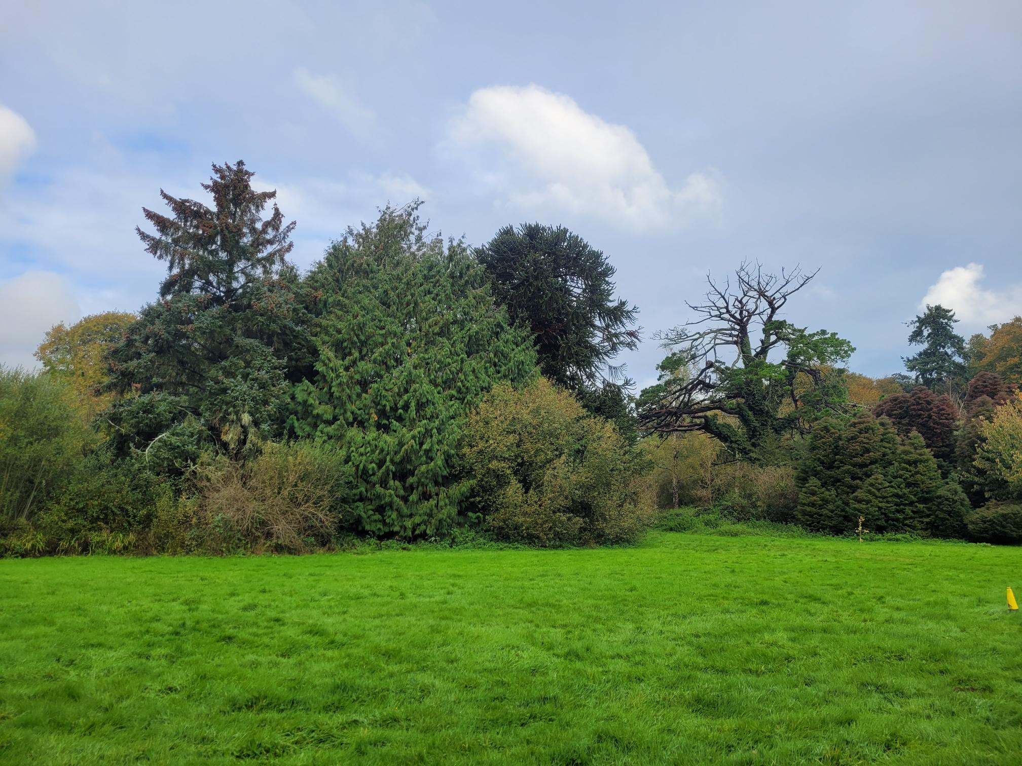 Photo showing the Poltimore House grounds