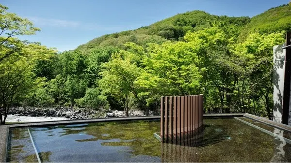 星野7