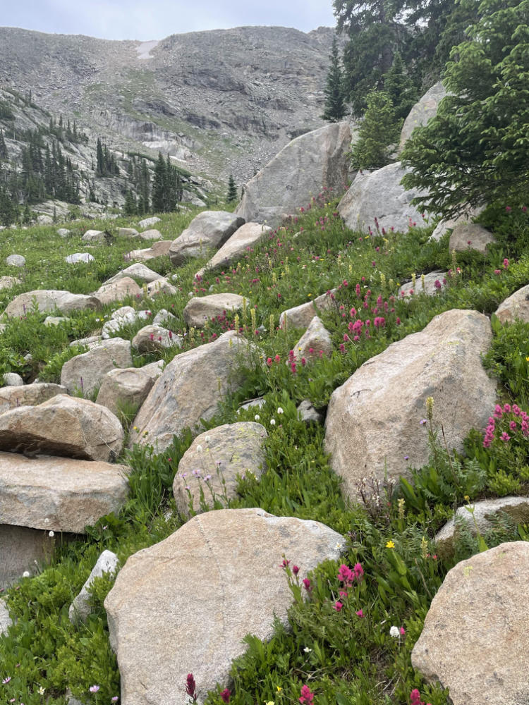 alpine boulders