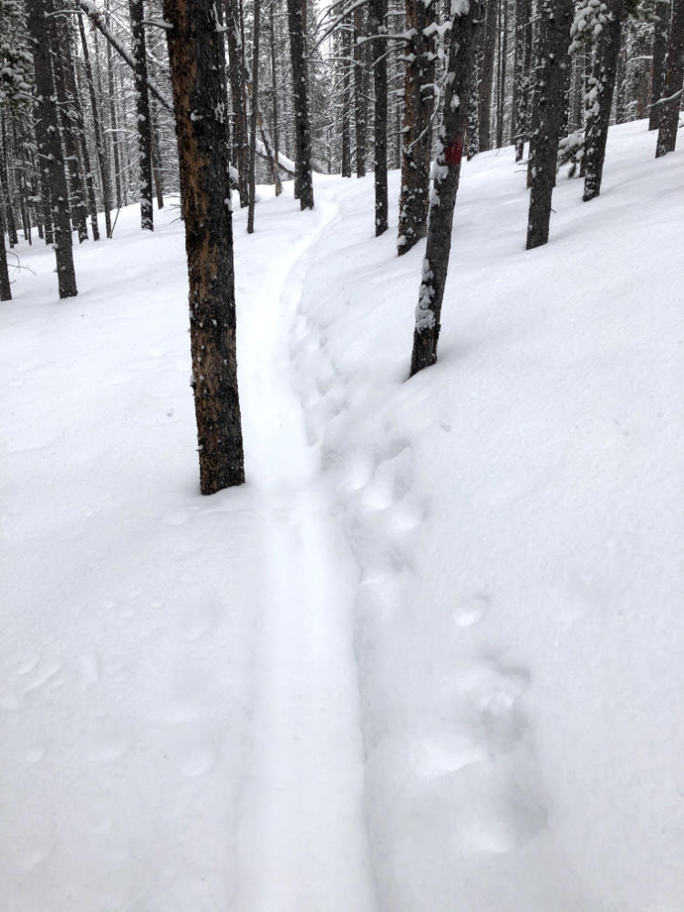 snow trail