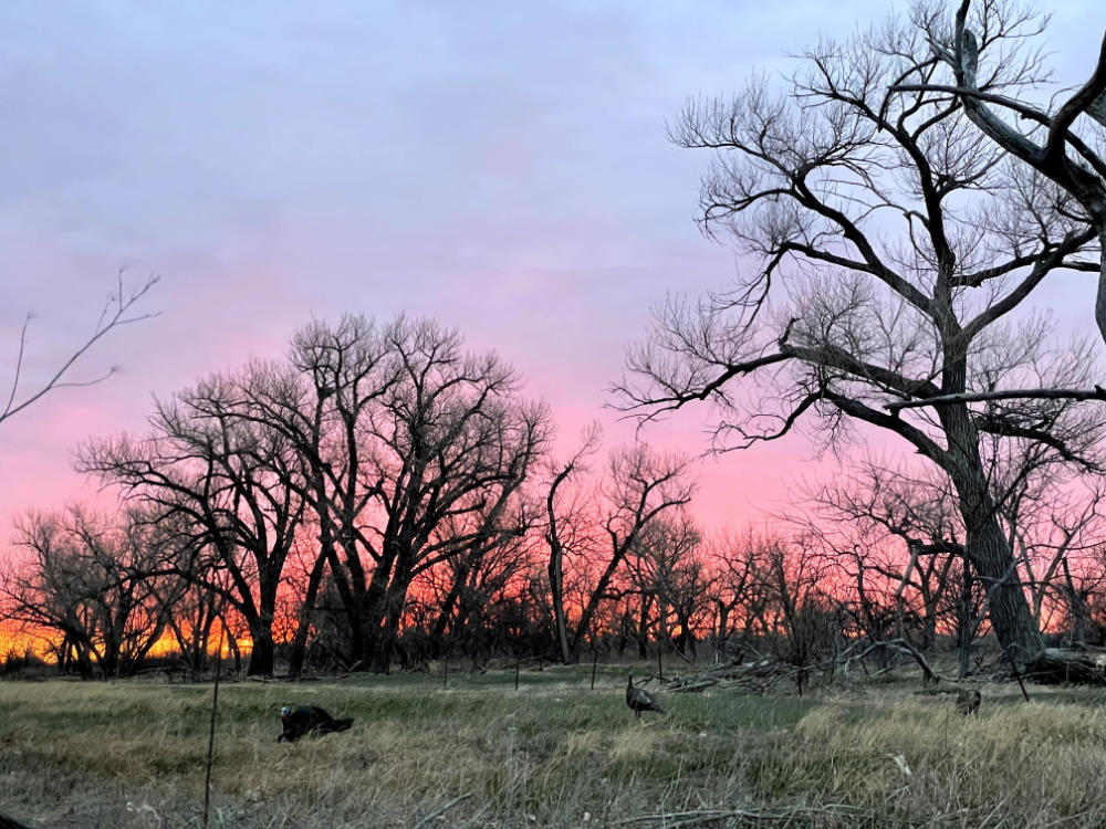 sunrise turkey