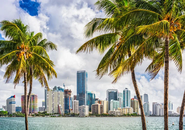Florida Movers