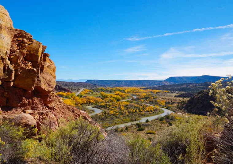 New Mexico Movers