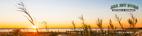 shoreline at sunrise along lake wylie near pineville, north carolina