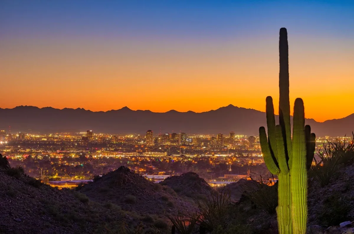 The Phoenix city skyline view with a cactus in front of the desert landscape.