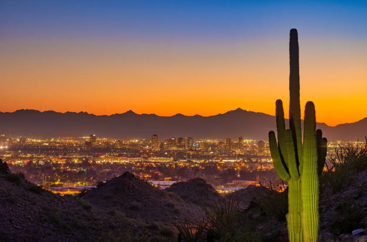The Phoenix city skyline view with a cactus in front of the desert landscape.