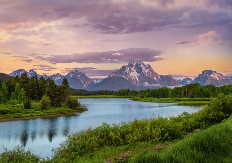 Wyoming Movers