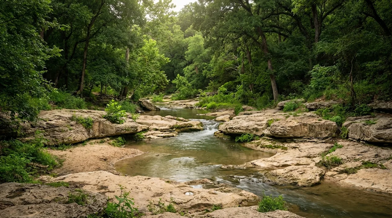 Scenic South Austin Greenbelt trails featuring a creek flowing over limestone rocks and lush green trees.