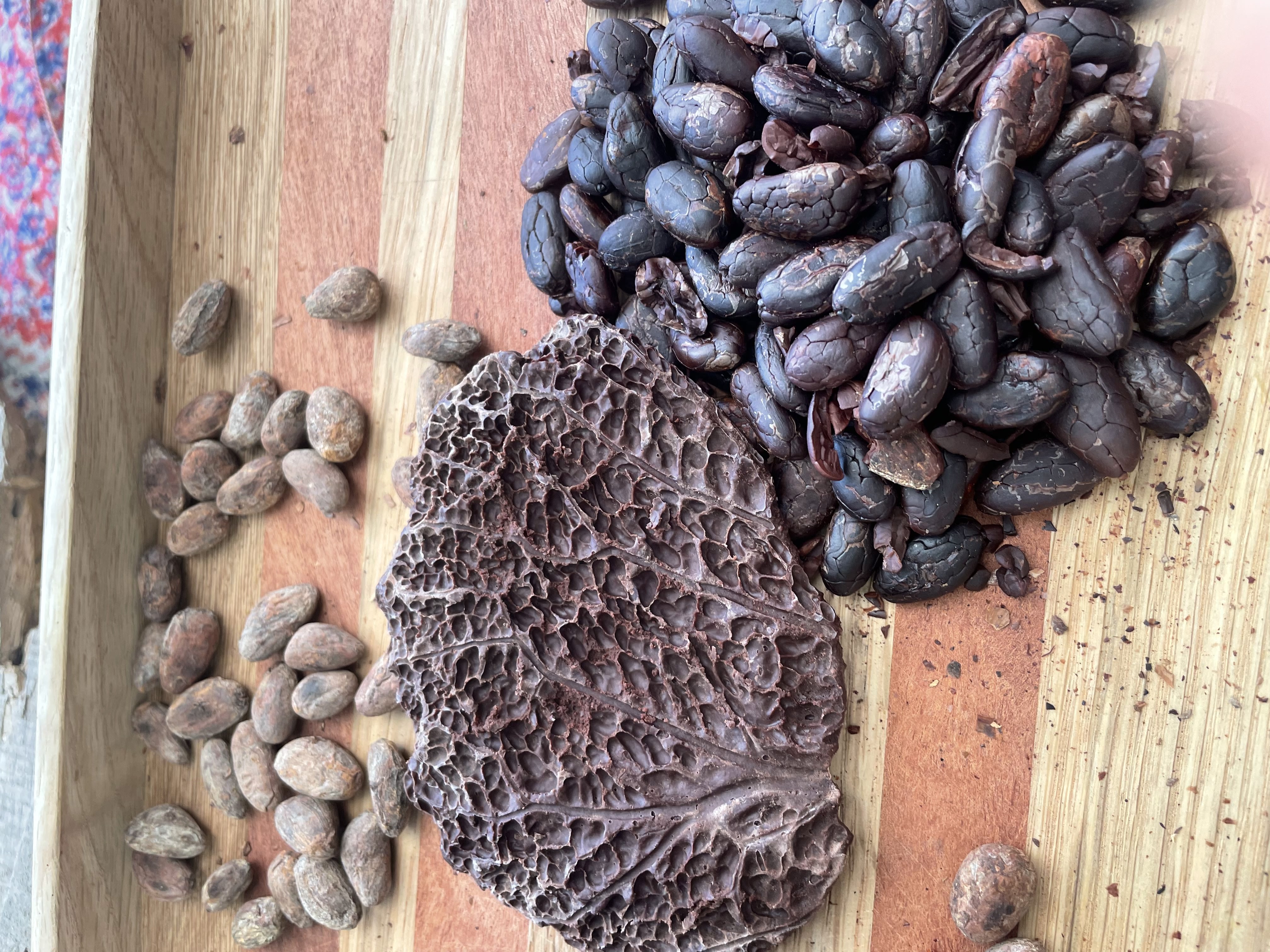 Theobroma Cacao Explained: Benefits, Science, Preparation & Nervous System Support