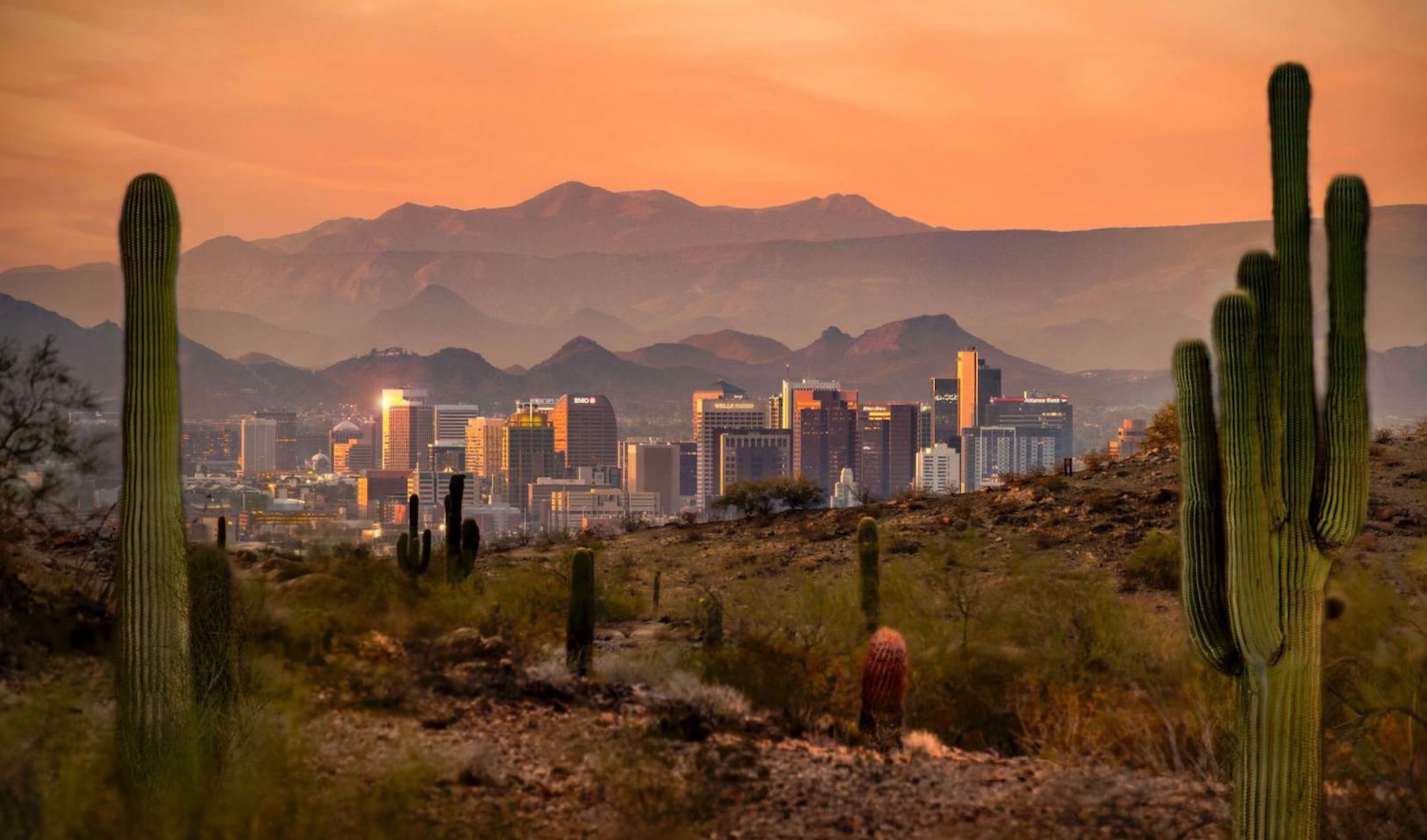 Phoenix, sunset, cactus Mynd Rental property management company