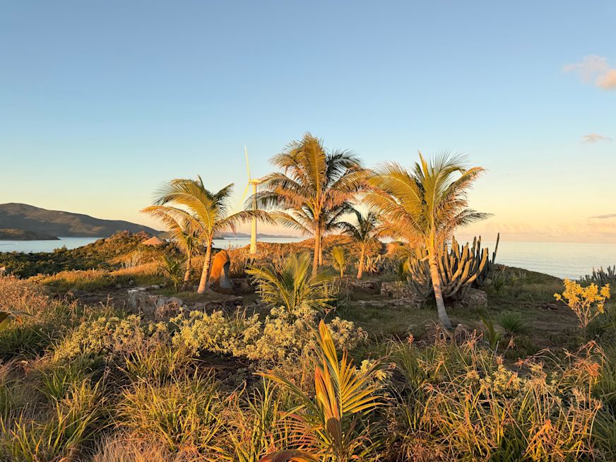 Image from Sam Branson 