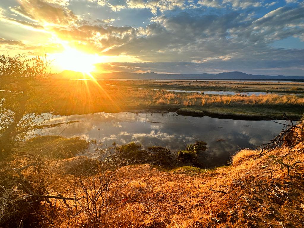 Zambezi Valley sunset