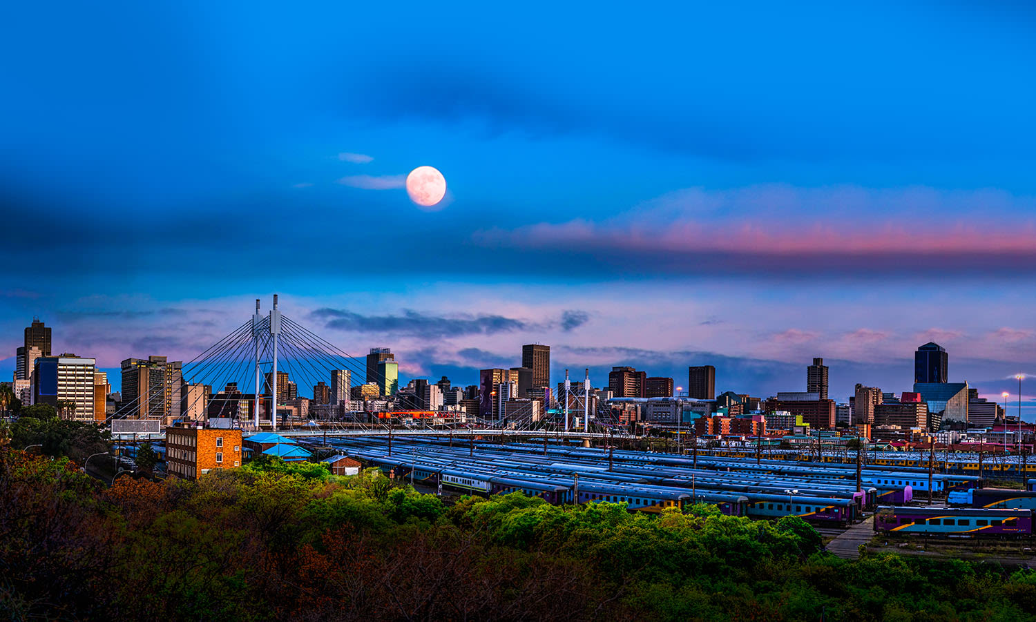 Image of the Johannesburg skyline. 