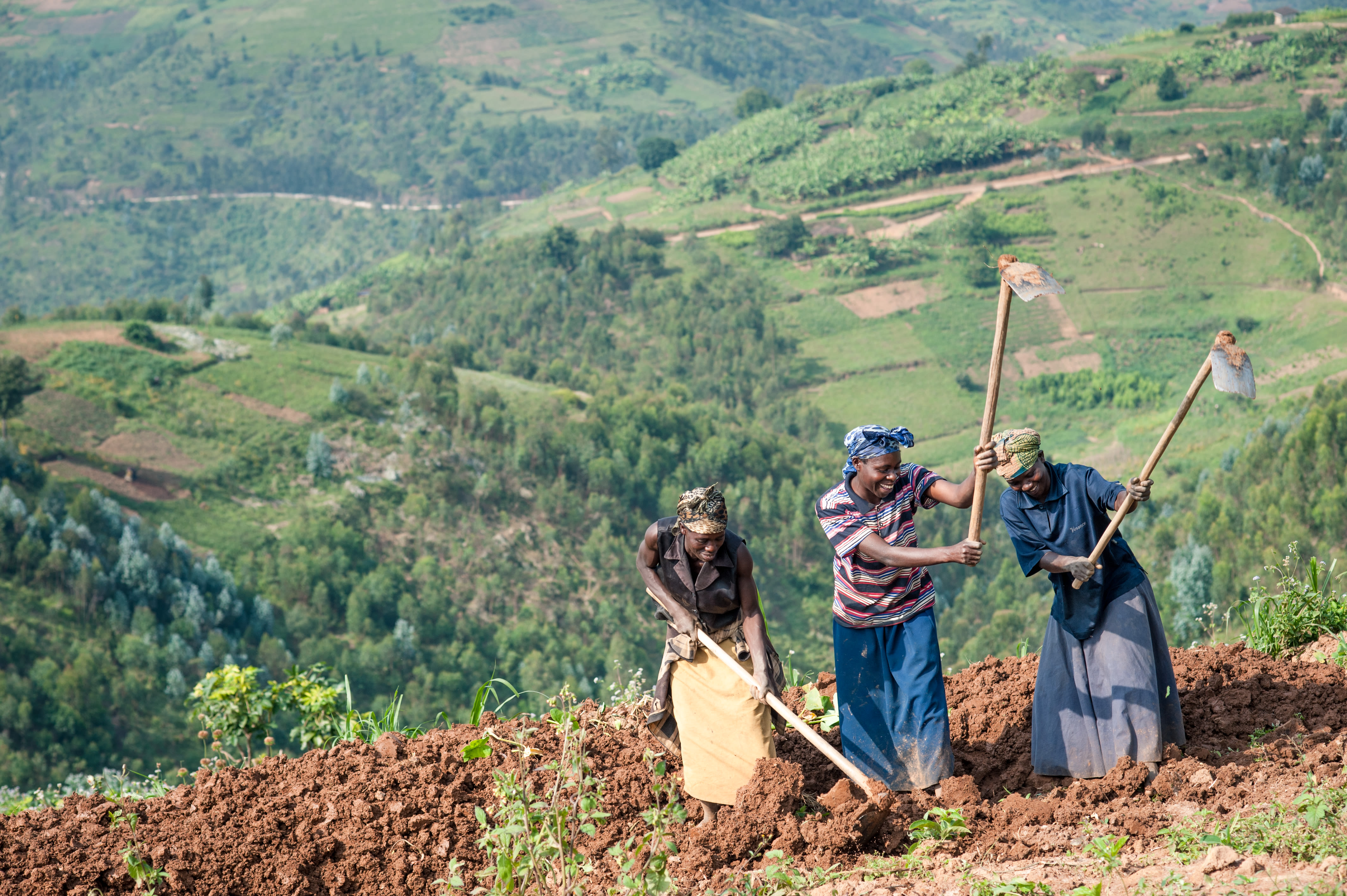 One Acre Fund farmers