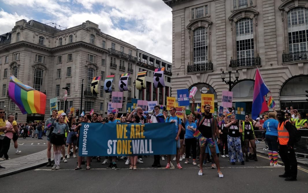 Image of a large group of people celebrating PRIDE with Stonewall charity banners and Pride flags.