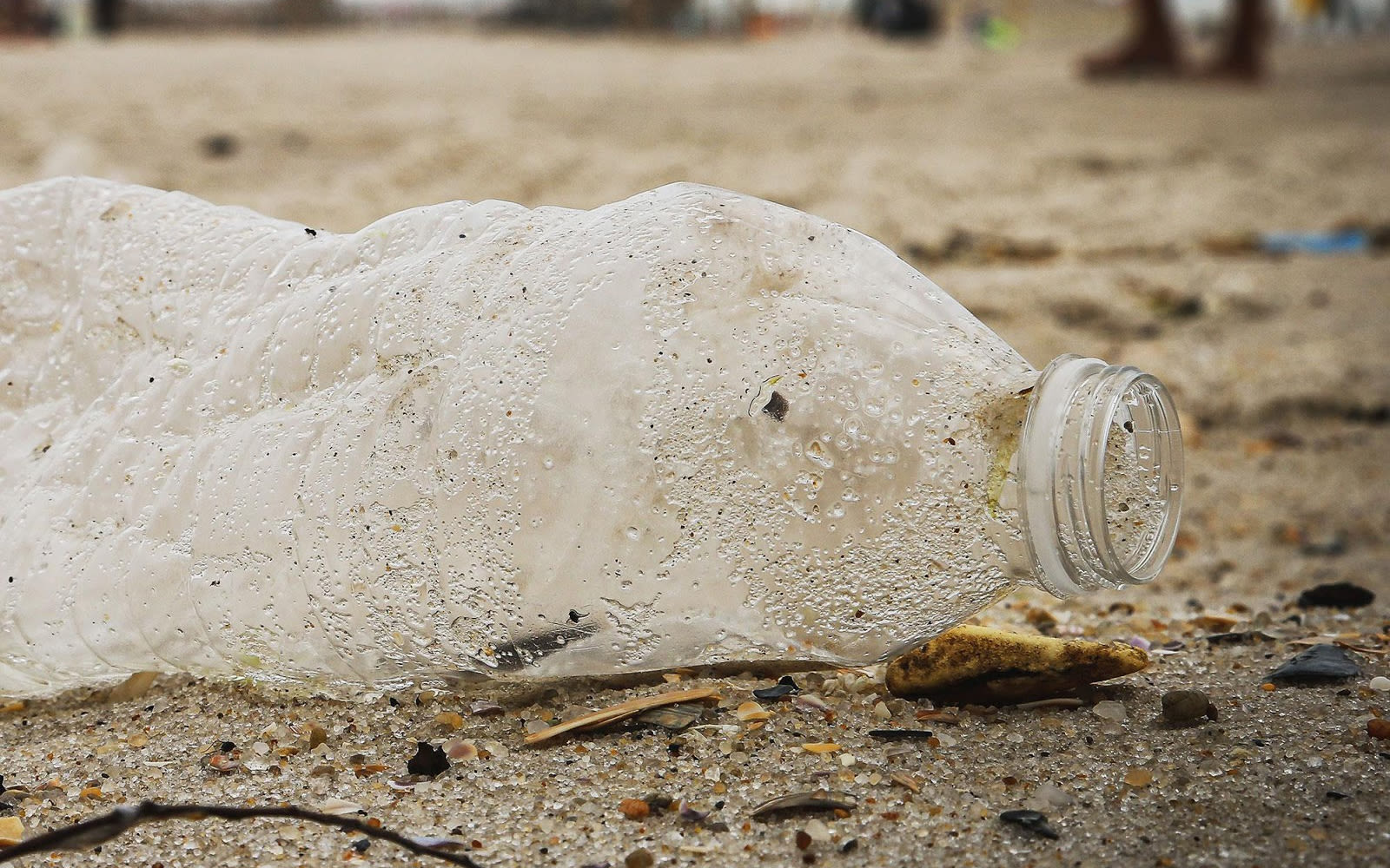 Squashed plastic bottle on beach