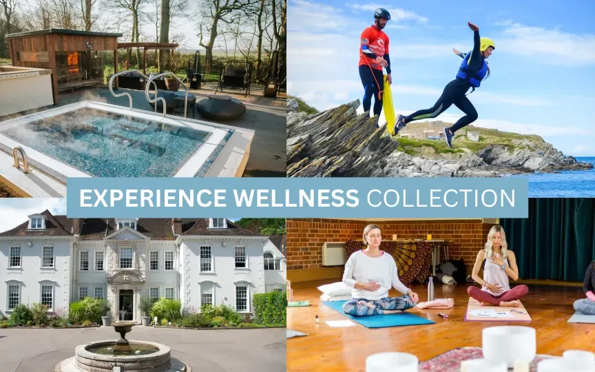 The Experience Wellness Collection 