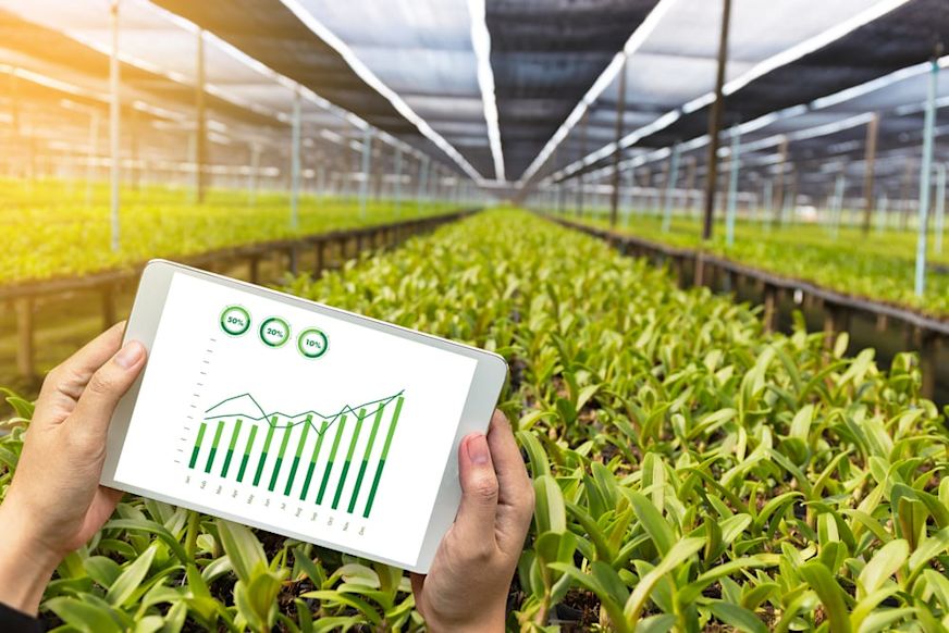 Caribbean Climate Smart Accelerator