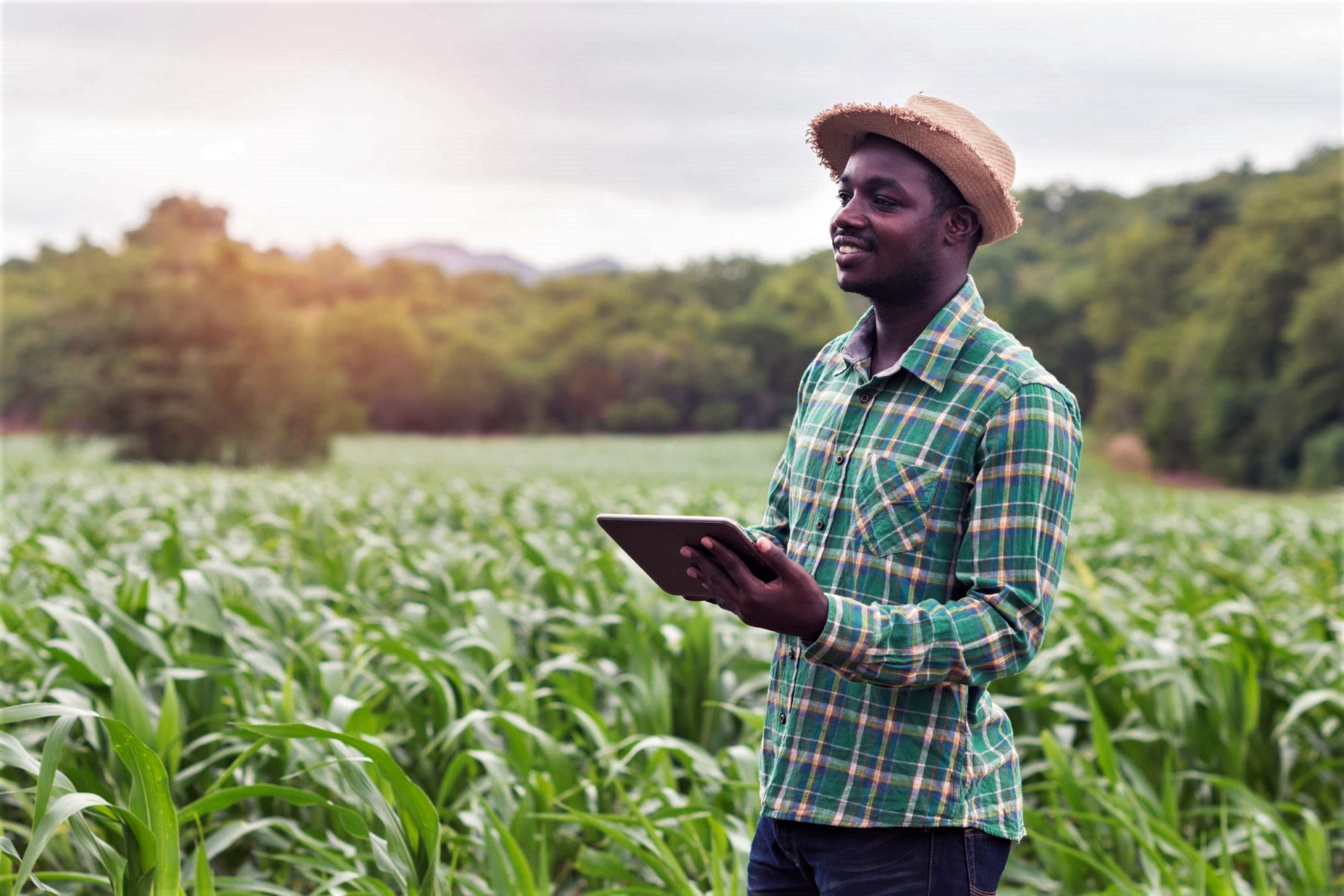 Caribbean Climate Smart Accelerator