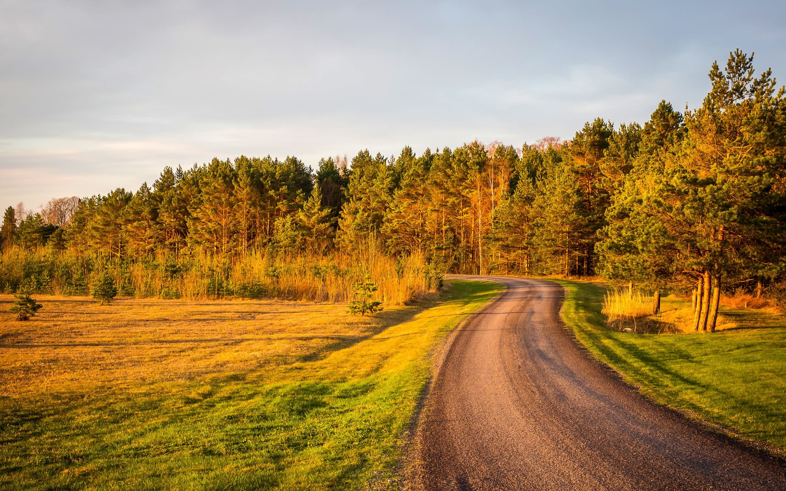 An image of an autumn road through a rural field